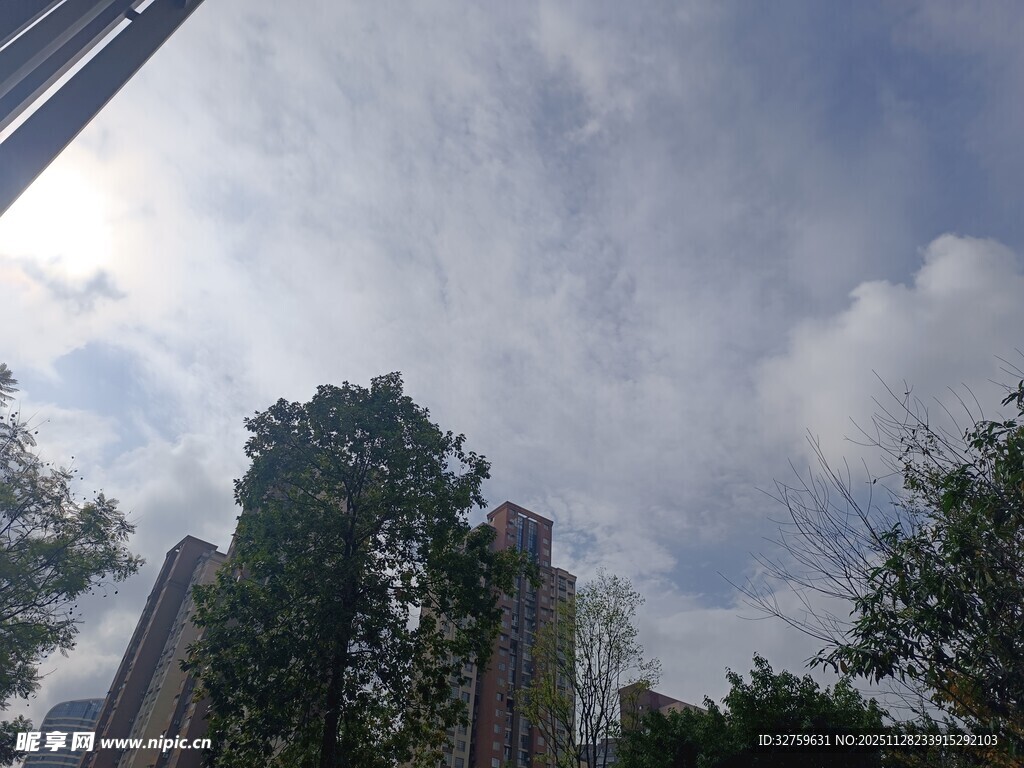 城市天空下的绿树与高楼