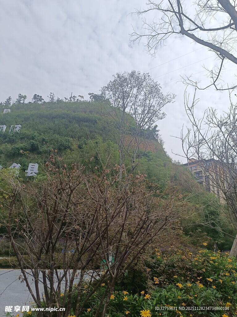 雾中朦胧的山坡景致
