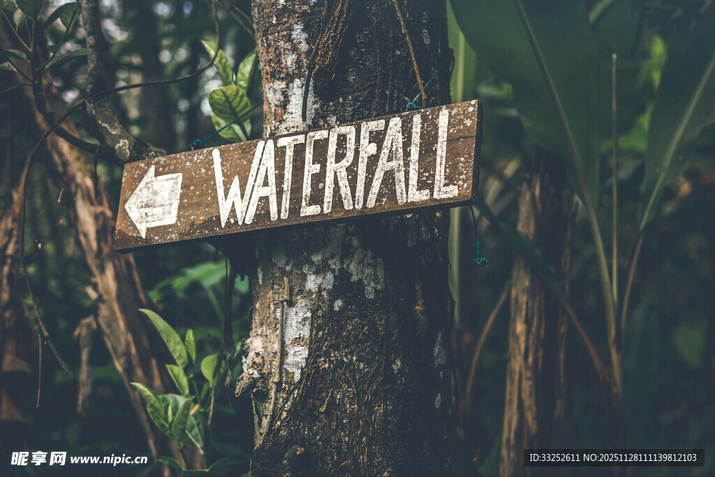森林中的瀑布指示牌
