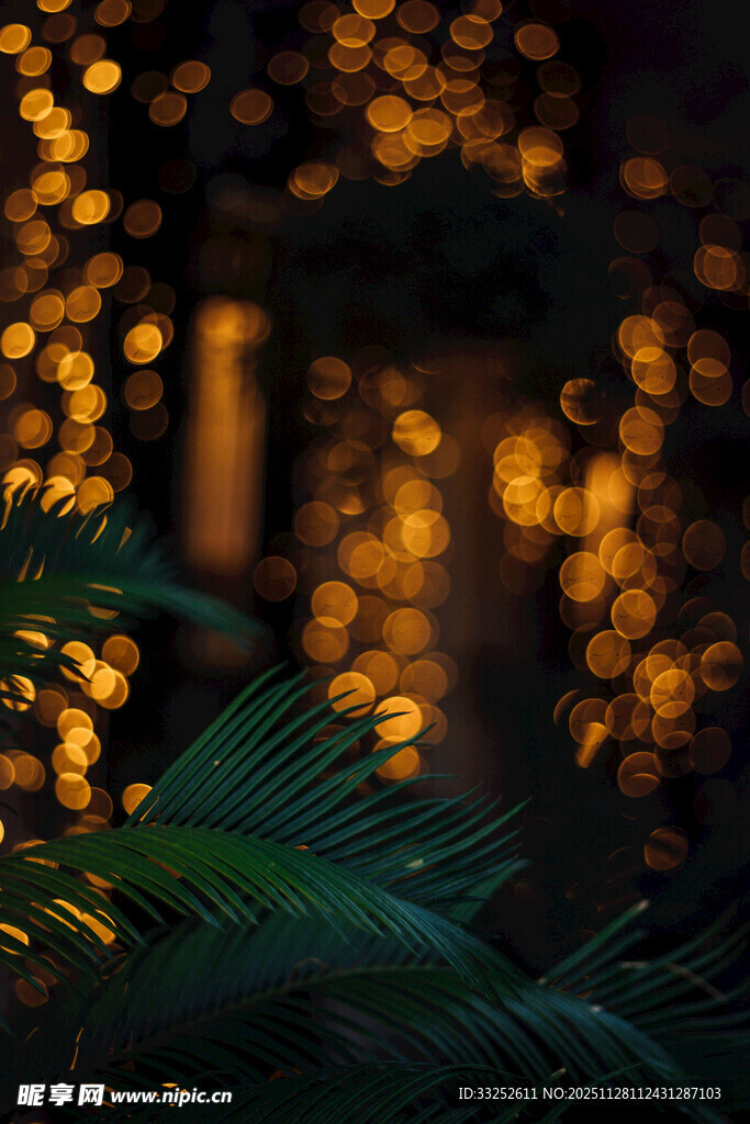 夜中闪烁的暖光与绿植