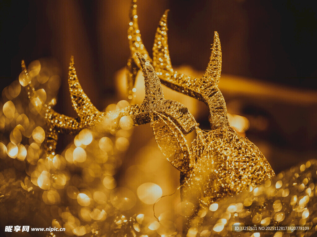 璀璨金色饰品闪耀夺目