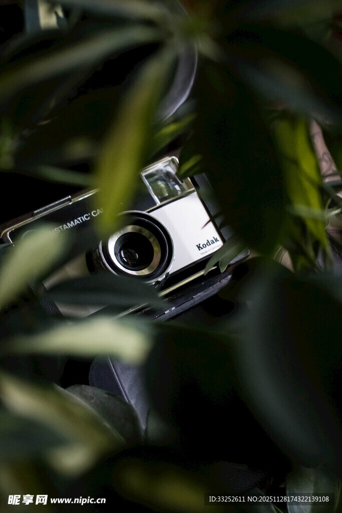 相机隐匿于绿植之间