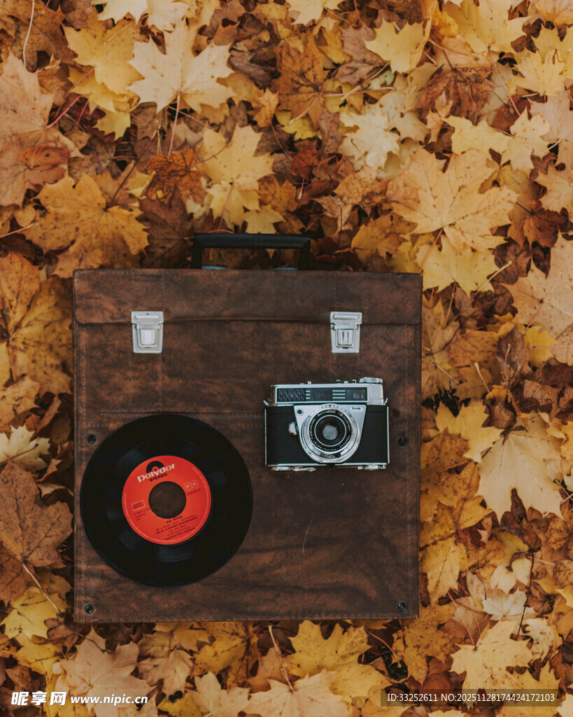 复古唱片机与相机的秋日邂逅