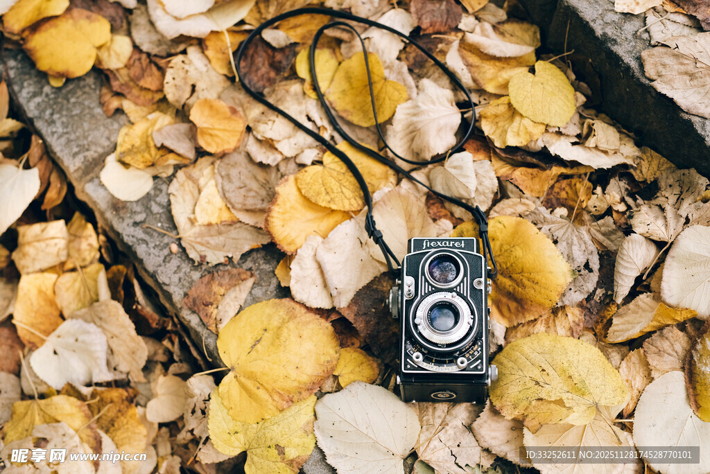 秋日落叶中的复古相机