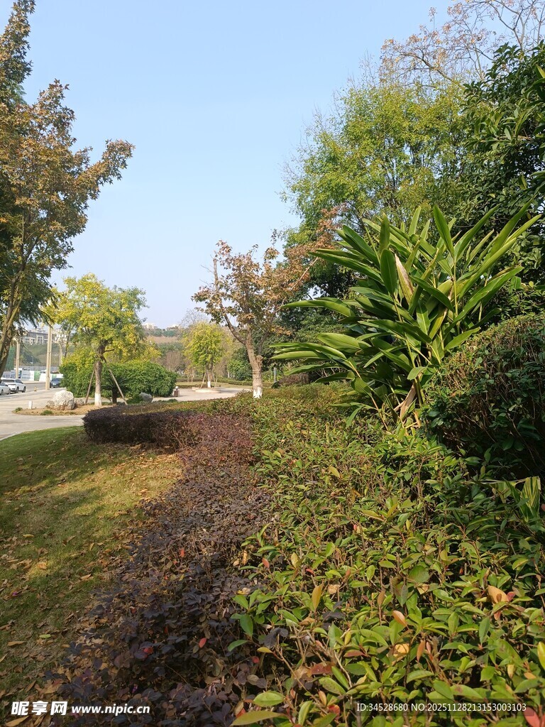 户外绿植环绕的宁静小径