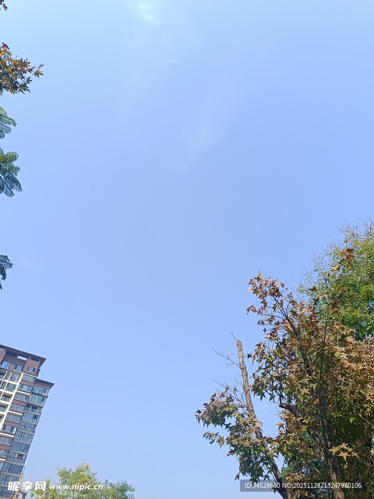 蓝天绿树间的城市景致