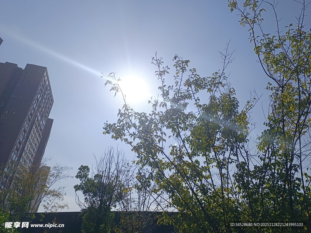 阳光洒落城市绿植间