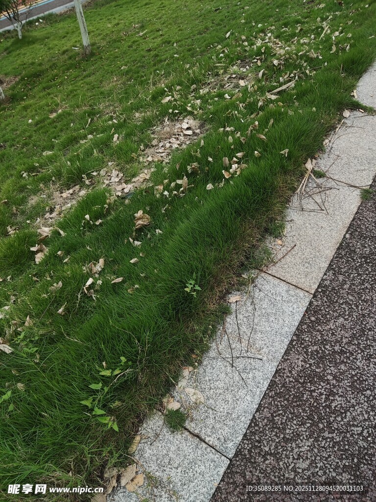 路边草地与碎石景观