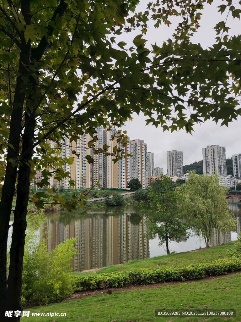 湖畔绿树映衬城市风光