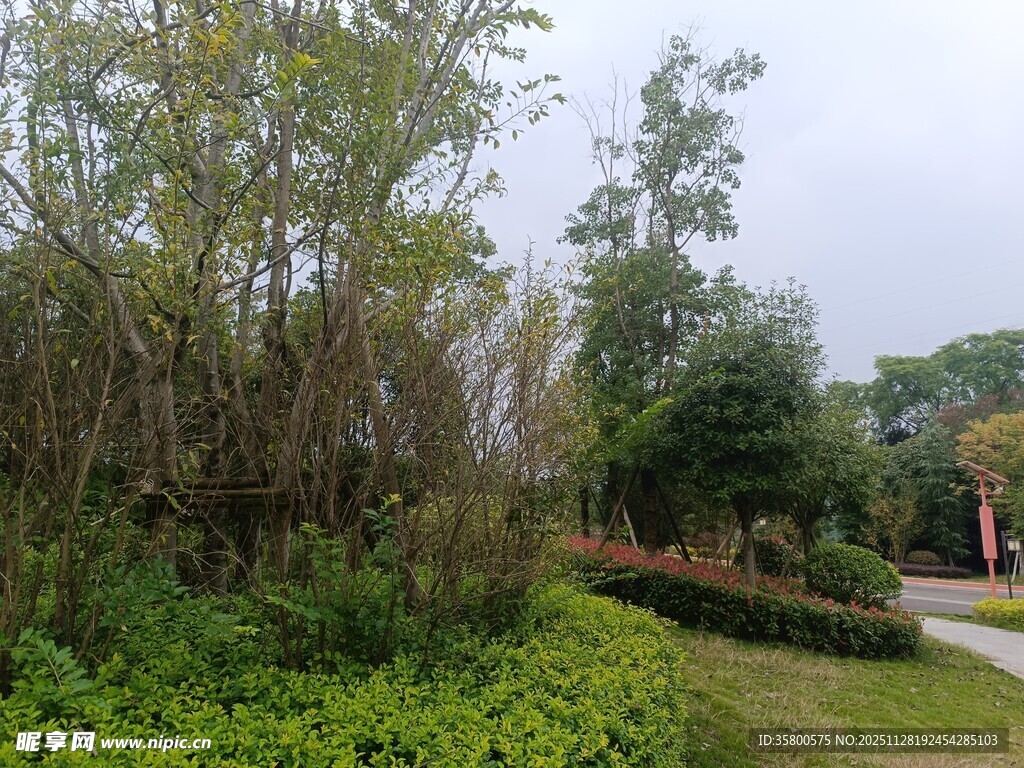 户外绿植环绕的小径