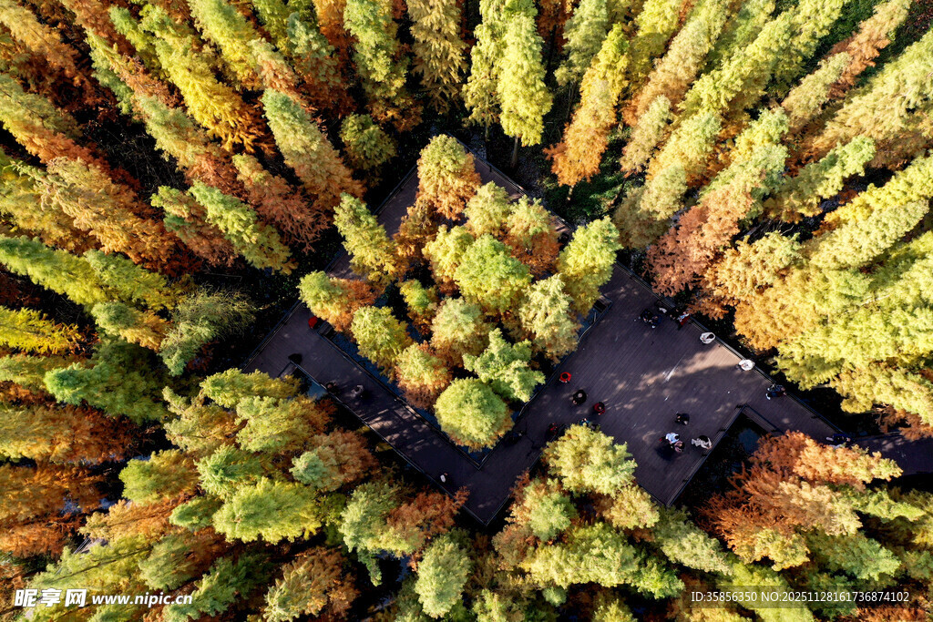 俯视多彩植物景观播州湿地公园冬