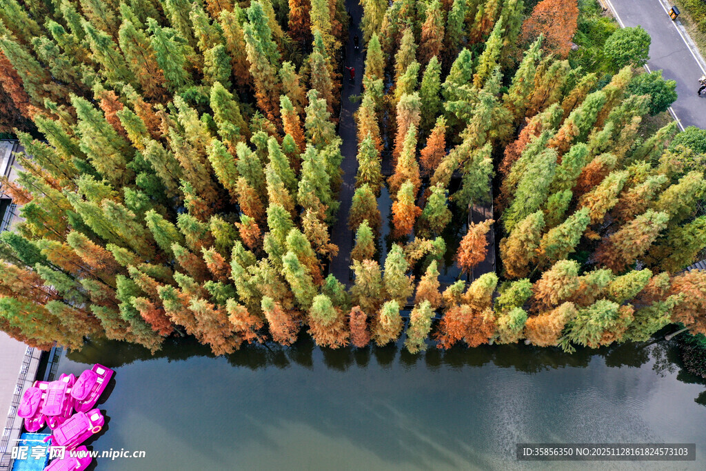 俯瞰多彩水上植物景观