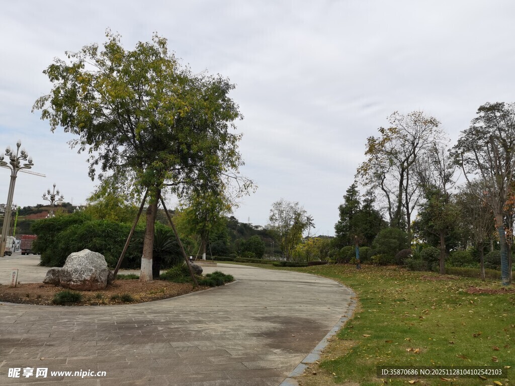 宁静的户外园林景观