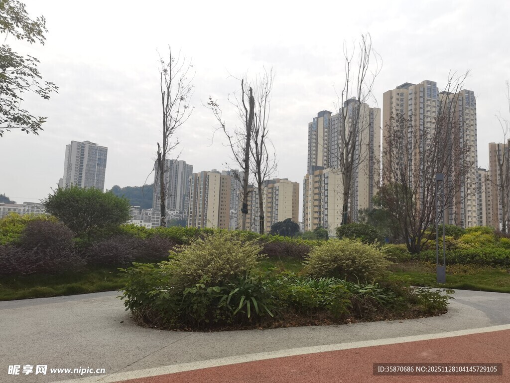 城市住宅区旁的绿化景观