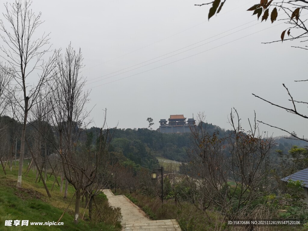 山间小径冬日萧瑟景致