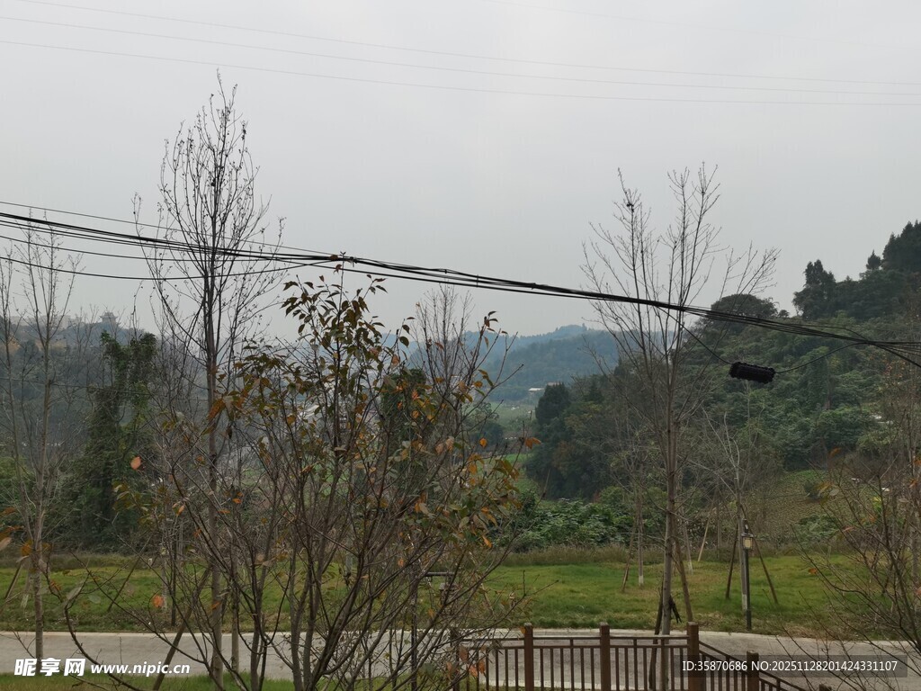 山间景致稀疏树木与电线