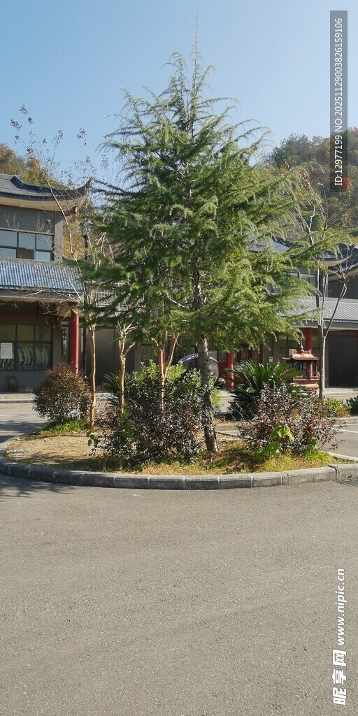 庭院绿树环绕的宁静建筑