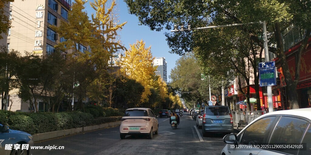 秋日城市街道行车景象
