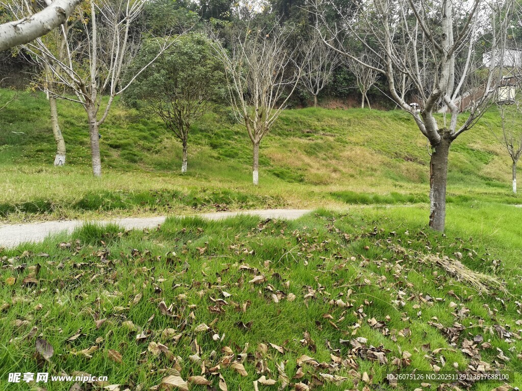 春日郊野小径风景
