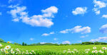 蓝天白云草地