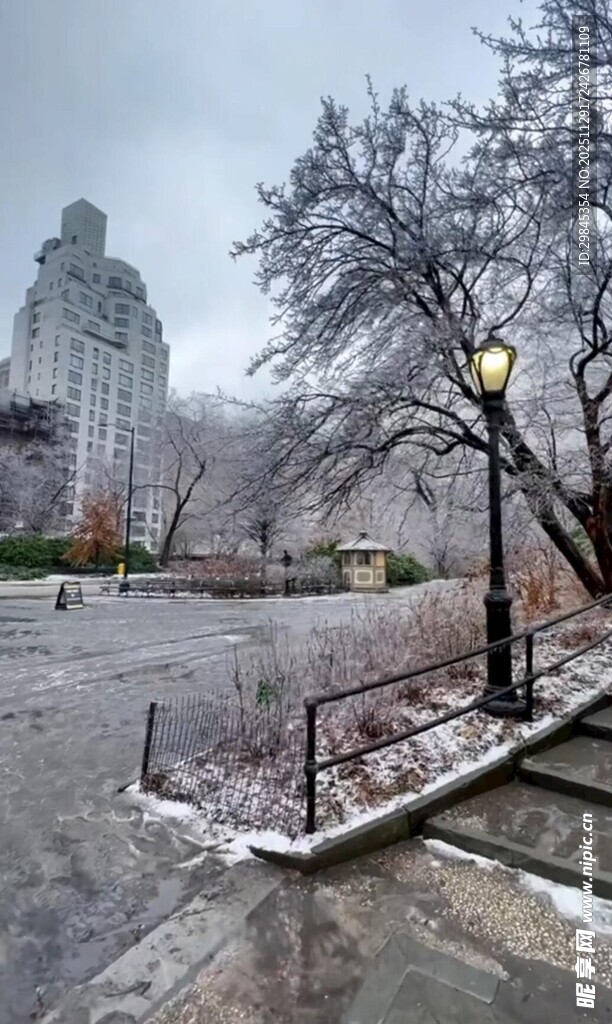 雪后城市公园静谧景象