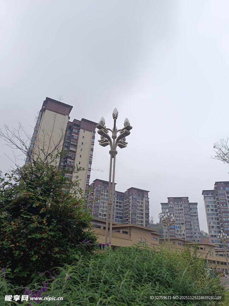 城市高楼旁的绿植景观