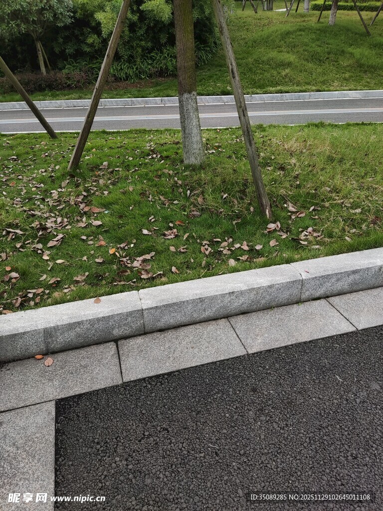 路边绿植与沥青路面景观