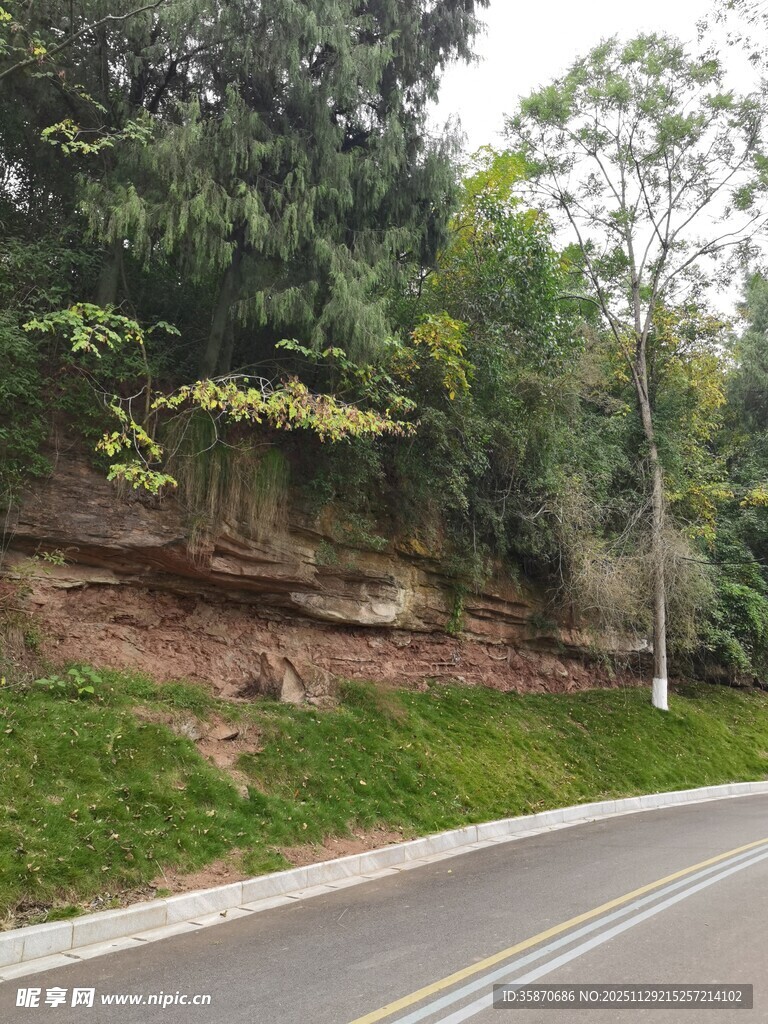 路边绿植覆盖的斜坡