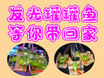 发光罐罐鱼
