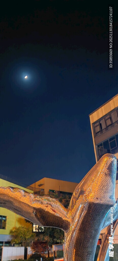 夜晚天空下的生活