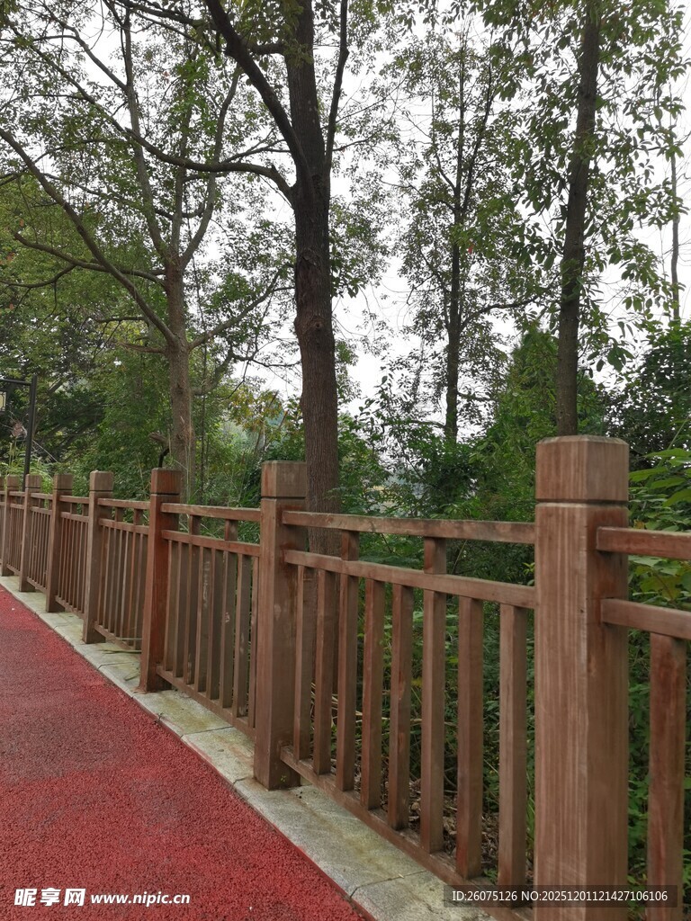 林间红道旁的木质围栏