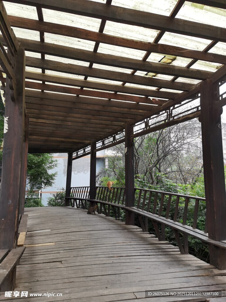 木质廊架下的宁静步道