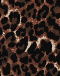 豹纹图案纹理