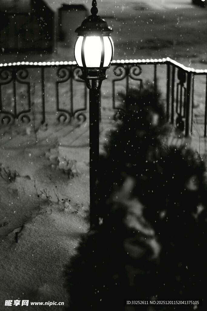 夜晚路灯下的静谧景致