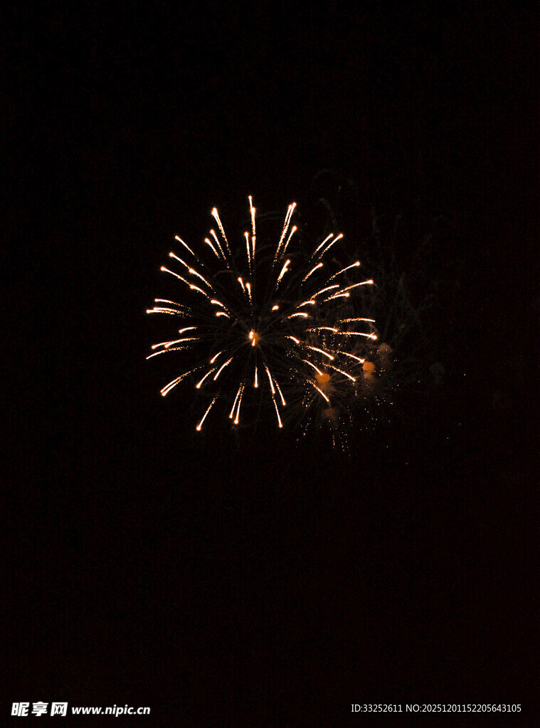 夜空中绽放的绚丽烟花