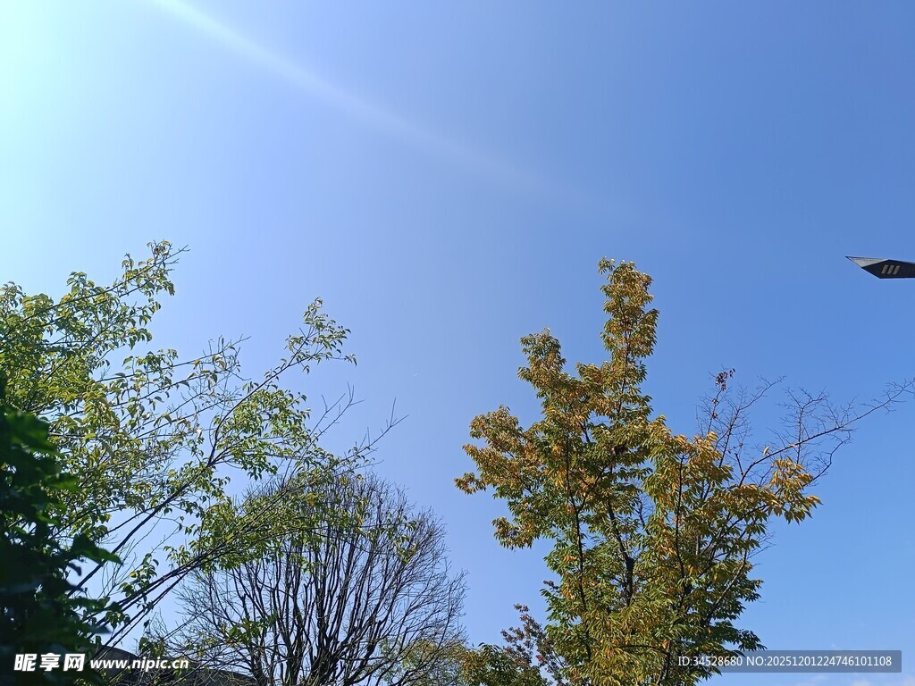 蓝天绿树间的秋日景致