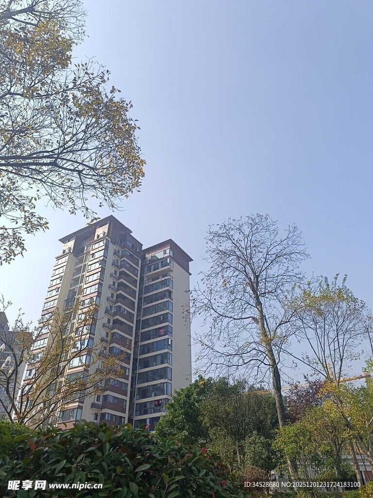 高层住宅周边绿植景观