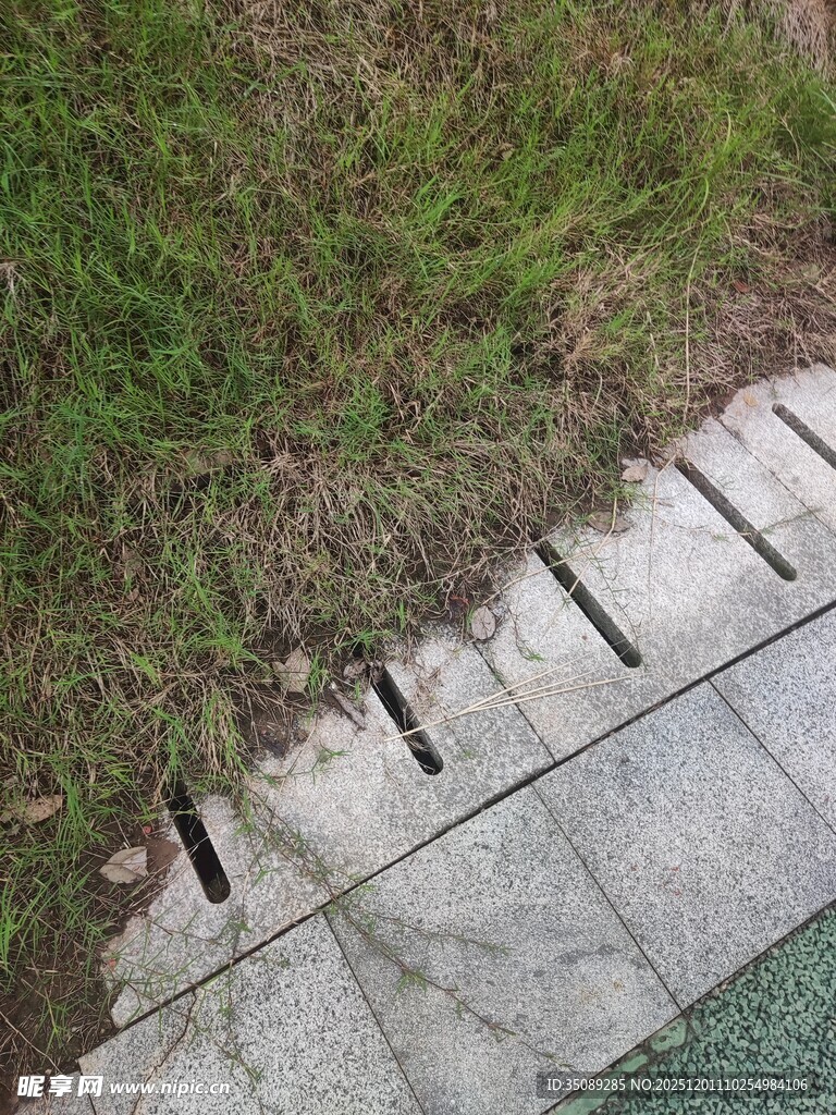 石板路旁的翠绿草地