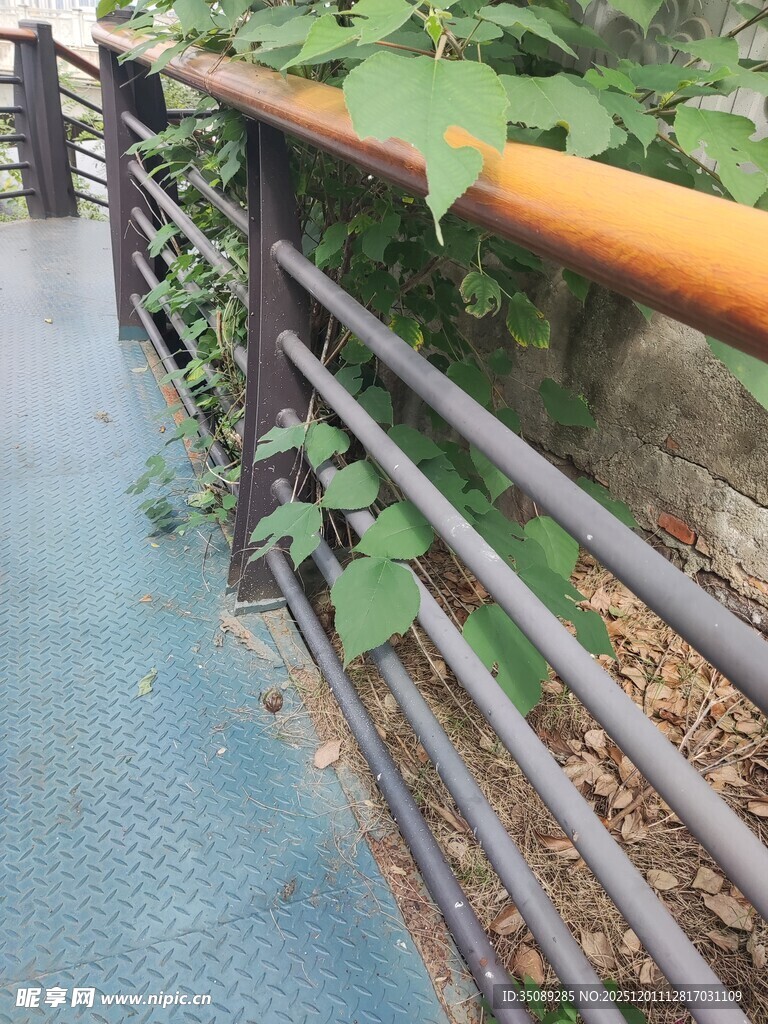 户外木质栏杆旁绿植景观