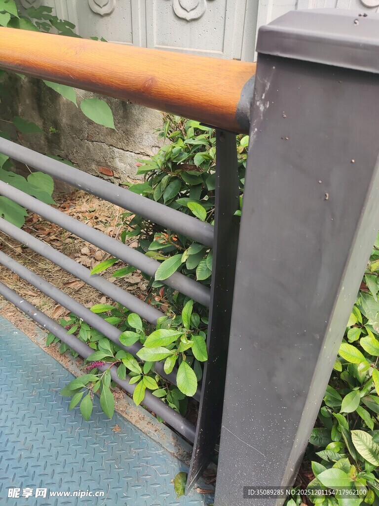 户外绿植旁的金属栏杆