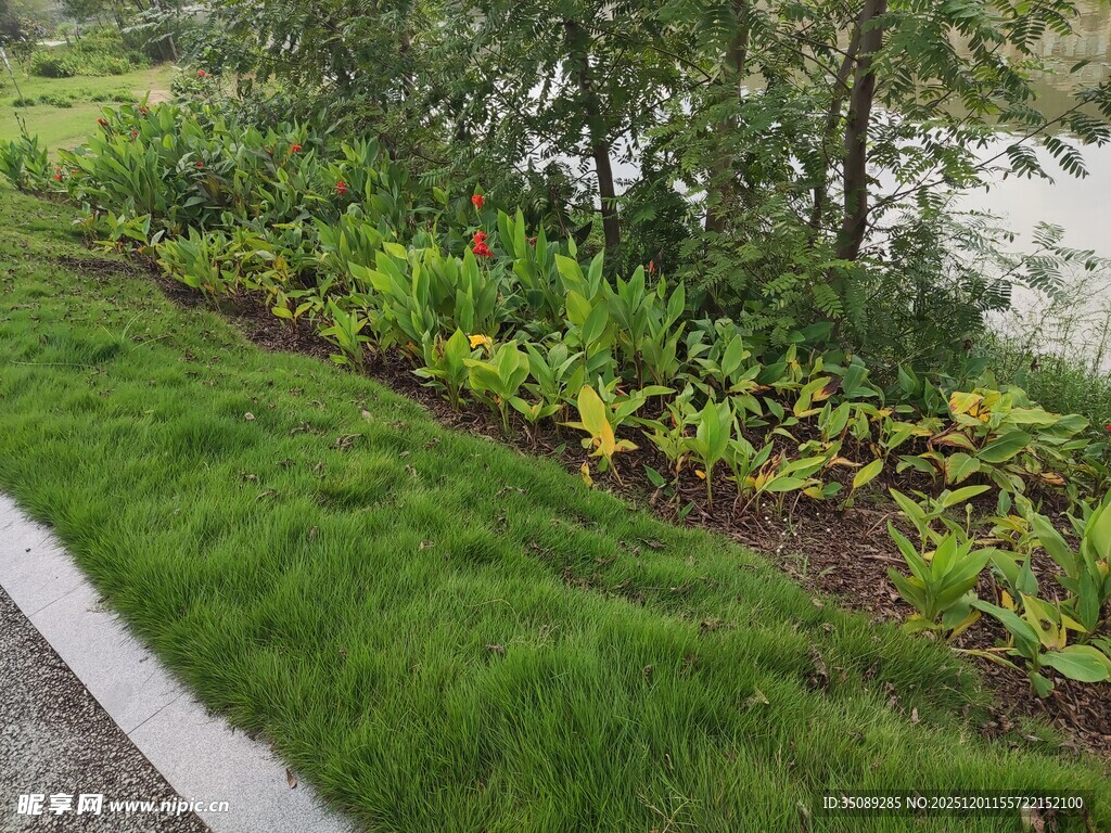 路边绿意盎然的花草景观