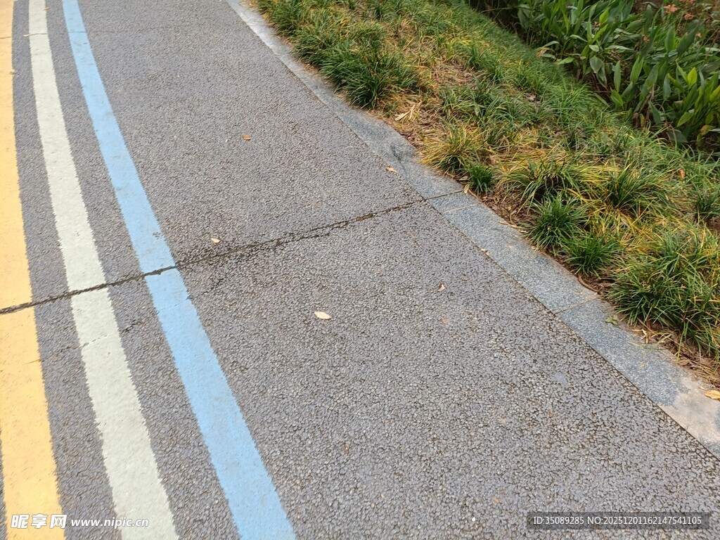 城市道路旁的蓝黄标线