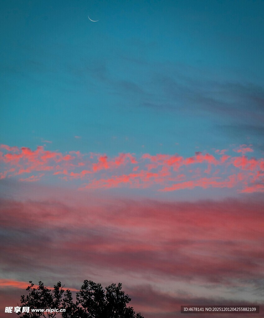 晚霞映照下的树梢美景