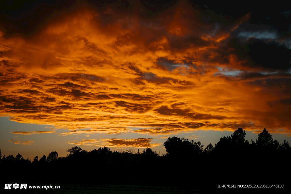 壮丽晚霞下的森林剪影
