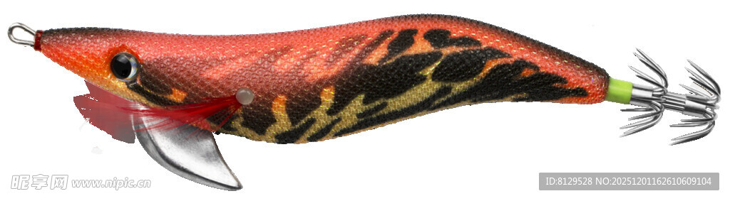 色彩艳丽的观赏鱼