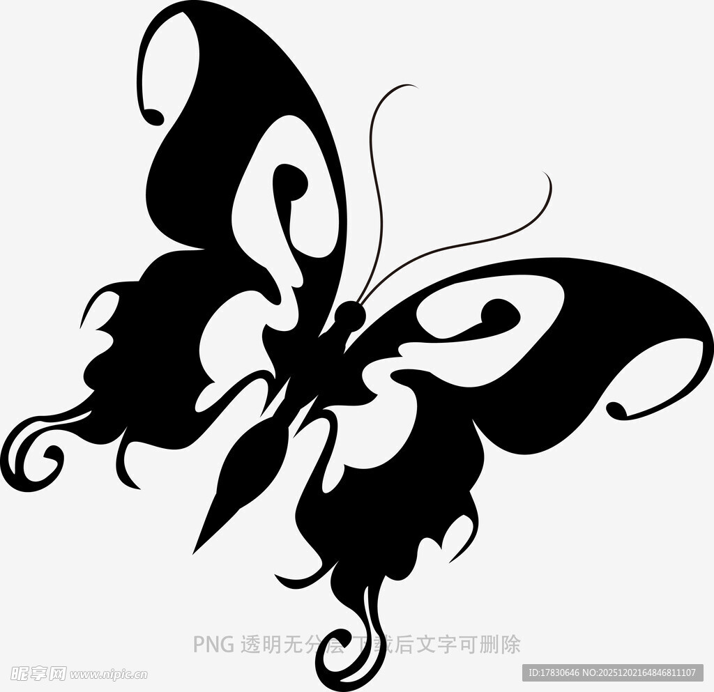 黑白蝴蝶图案设计