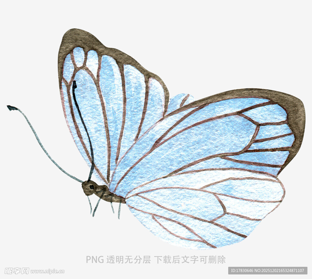 蓝色梦幻蝴蝶插画