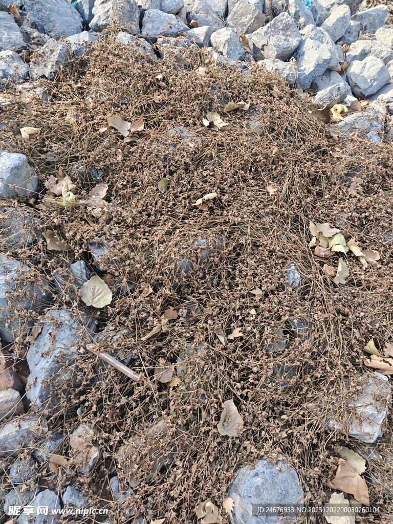 地面的碎石与泥土