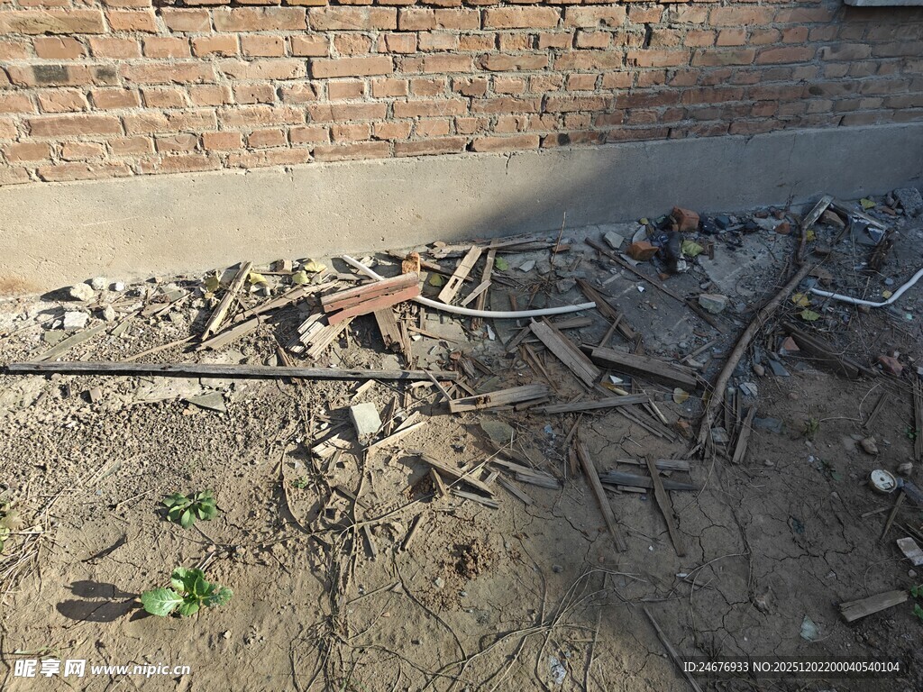 地面上的杂乱树枝与碎石