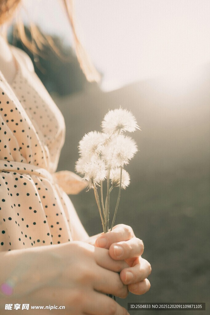 手捧小花的温柔瞬间